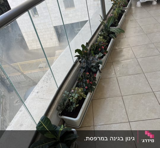 עציצים עם צמחים ירוקים ופרחים במרפסת